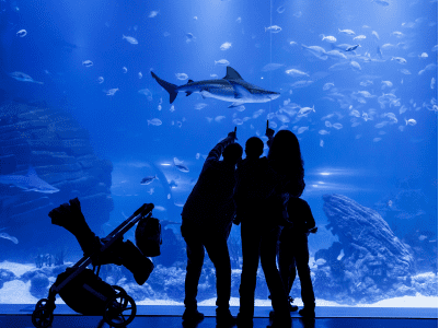 Atlantis Aquarium