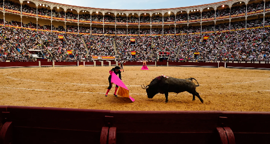 Plaza de Toros Madrid